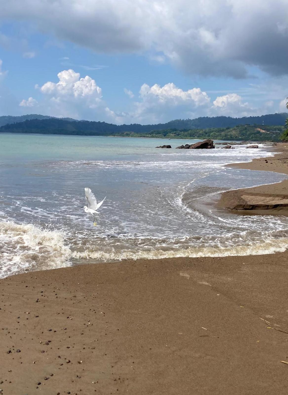 Corcovado & Drake Inn Drake Bay Zewnętrze zdjęcie