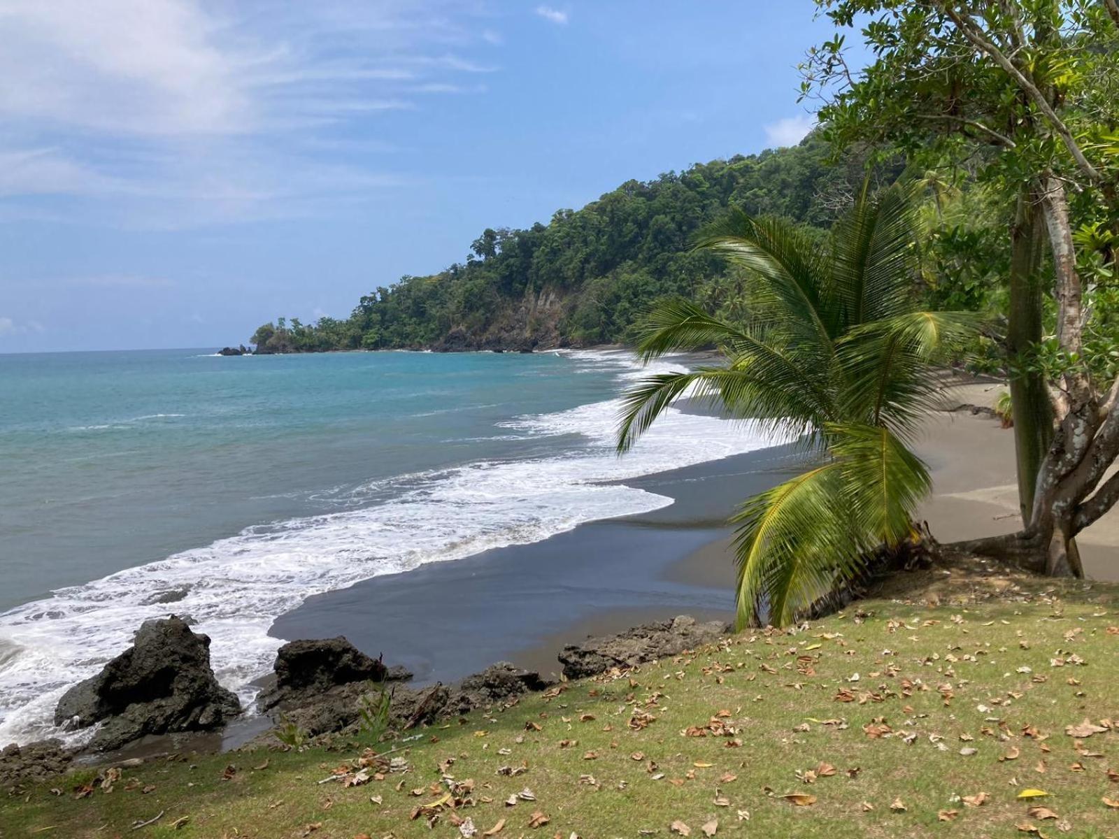 Corcovado & Drake Inn Drake Bay Zewnętrze zdjęcie