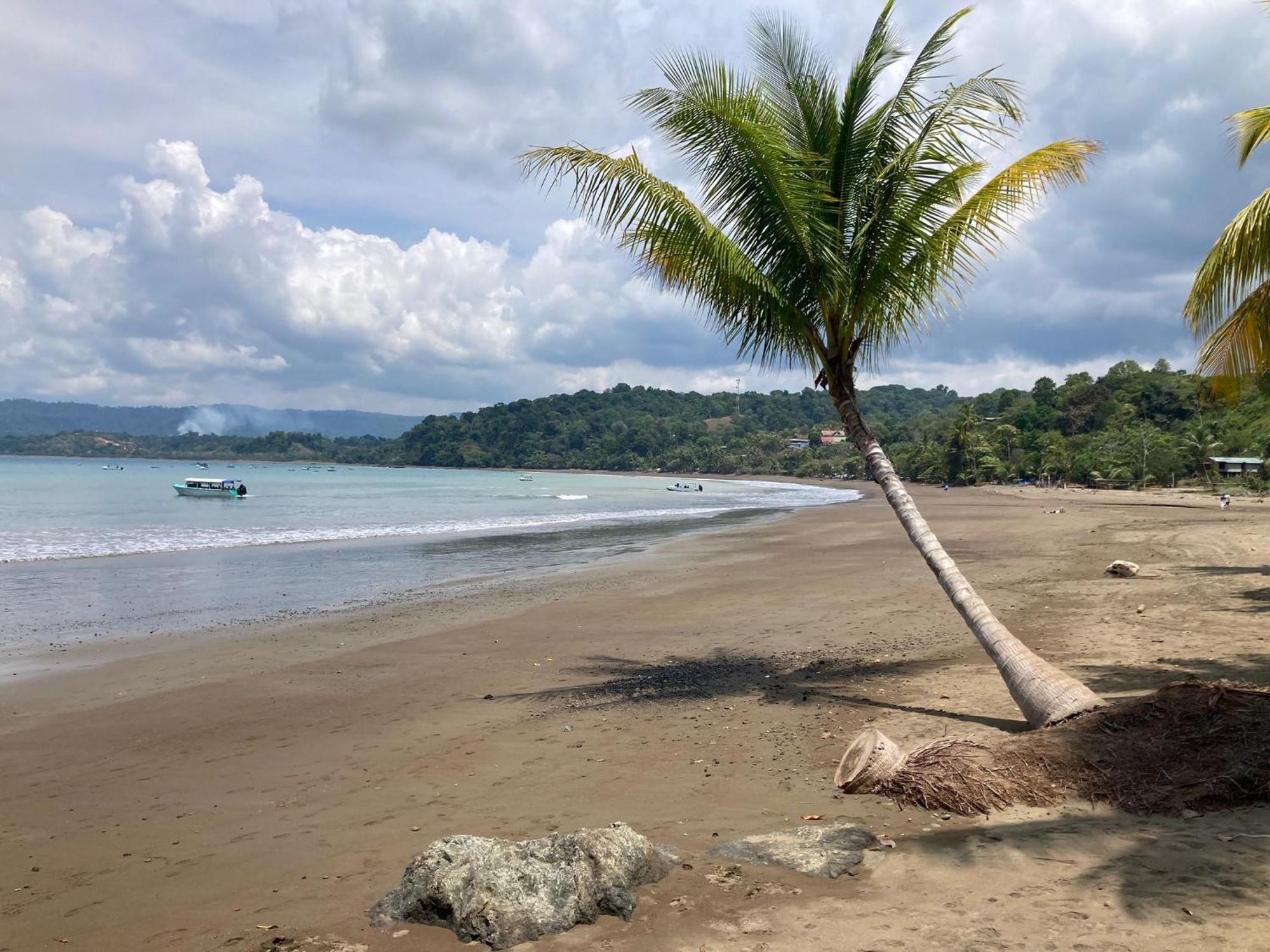 Corcovado & Drake Inn Drake Bay Zewnętrze zdjęcie